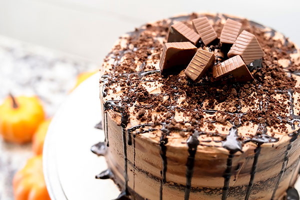 Chocolate Mocha Cake